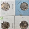 Image 5 : Buffalo Nickel Lot
