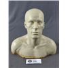 Image 2 : Smallville Season 9 Charlie Grant Figurines - (2) 8" H Busts
