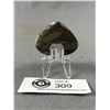 Image 2 : 2" Orthoceras Fossil. Retails $200.00