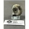 Image 2 : Orthoceras Goniate Ammonite Fossil. Retails $400.00