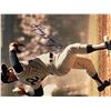 Image 1 : Sandy Koufax signed photo