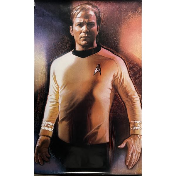 Rare Star Trek 1991 character illustration of Captain Kirk by Drew Struzan original movie poster