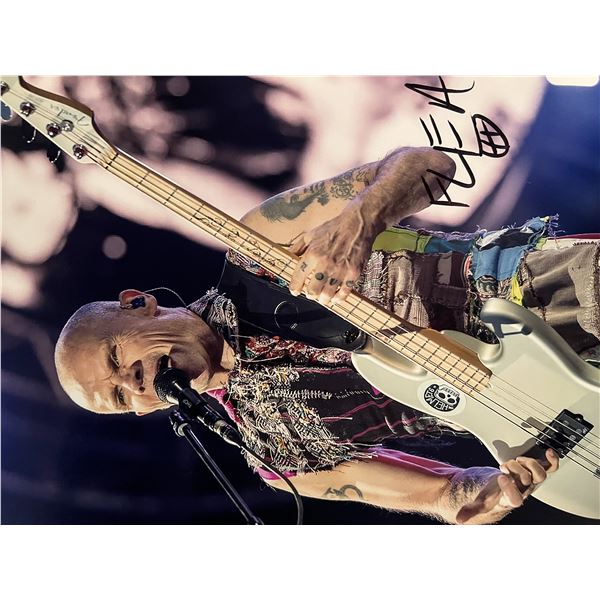 Red Hot Chili Peppers Flea signed photo