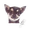Image 1 : Artist John Krewal signed dog print
