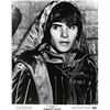 Image 1 : Romeo and Juliet Leonard Whiting signed movie photo
