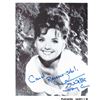 Image 1 : Gilligan's Island Dawn Wells signed photo