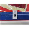 Image 2 : Divided US Flag Signed Altenhoff - 30 X 36
