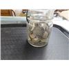 Image 1 : Mason Jar w/Collector Coins