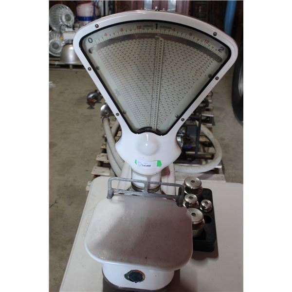 Toledo Scale With Weights