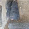 Image 2 : Chicken Wire, Other fencing material