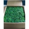 Image 3 : Lot of 1 Box of Artilife 12-Pack Artificial Boxwood Panels - Greenery Mats/Plant Panels - NEW!