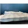 Image 2 : Lot of 2 Queen Size Bed Pillows - New - Vacuum Sealed
