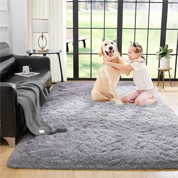 Lot of 1 Fuzzy Shaggy Area Rug - 4 x 5FT Size (Approx.) - Light Grey - New