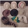 Image 1 : Assorted Hat Collection Racoon Fur Indiana Jones Style Fedoras & More