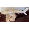 Image 1 : Stone Shark Lamp 14x8