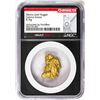 Image 1 : 8.76 Gram Caborca Sonora Mexico Gold Nugget NGC Vaultbox Unvaulted