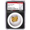 Image 1 : 8.36 Gram Caborca Sonora Mexico Gold Nugget NGC Vaultbox Unvaulted