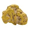 Image 1 : 3.08 Gram Sinaloa, Mexico Gold Nugget