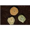 Image 1 : 3-JUDAEN BRONZE B.C.-A.D. ANCIENT COINS