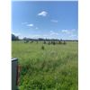 Image 16 : 10.85 acres c/w Older Mobile is selling unreserved
