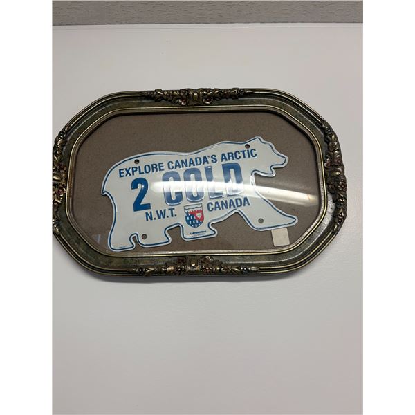 Polar Bear license plate c/w frame