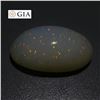 Image 2 : Large Rare 15.54 Ct GIA Certified Natural Opal