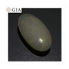 Image 3 : Large Rare 15.54 Ct GIA Certified Natural Opal