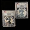 Image 1 : 2021 Rev Proof Silver Eagle Designer Edition Set PR69