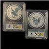 Image 2 : 2021 Rev Proof Silver Eagle Designer Edition Set PR69