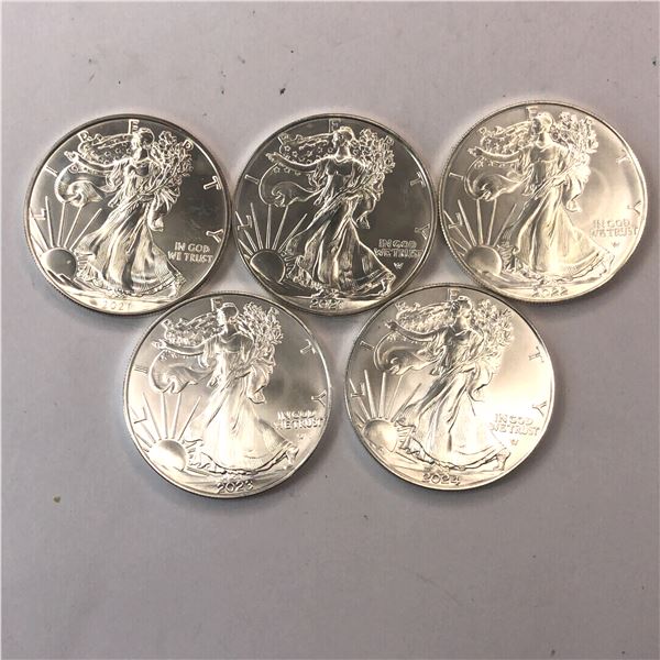 American Eagle Update Set Choice BU