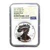 Image 1 : 2021 S $1 T2 Reverse Proof Silver Eagle
