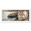 Image 1 : Bajando Hacia El Mar by Royo,