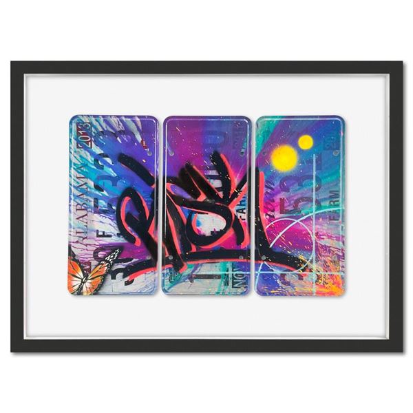License Plate Triptych by RISK,