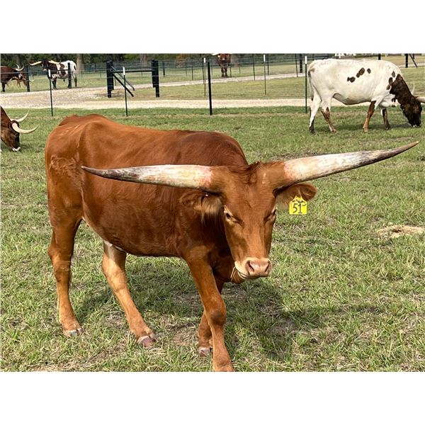 Scratch: BAR ~ Mamas' My Baby My Baby