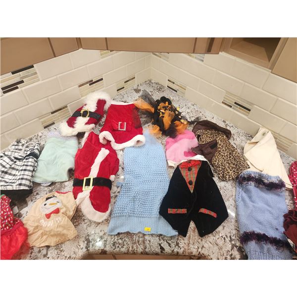 Set of Dog Clothes (Size Small)
