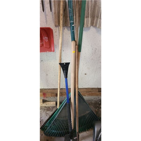 Assortment of Garden Tools