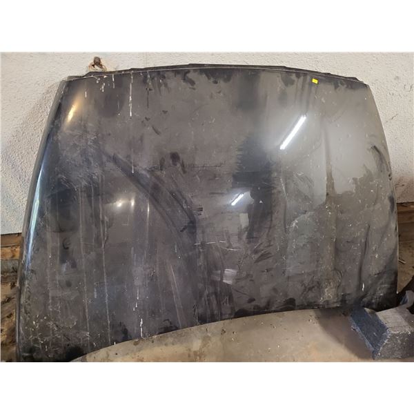 *** Sunroof or Hood Visor?