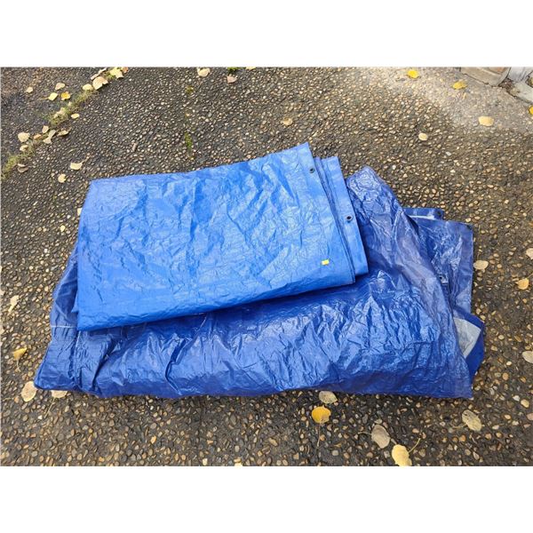 2 Large Tarps