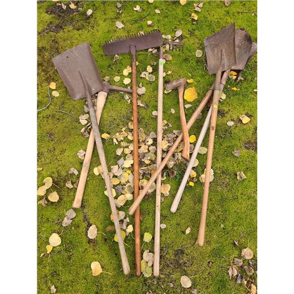 Collection of Antique Tools (Shovels, Pick, and More!)