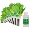 Image 1 : AEROGARDEN MIXED ROMAINE 9 POD SEED POD KIT