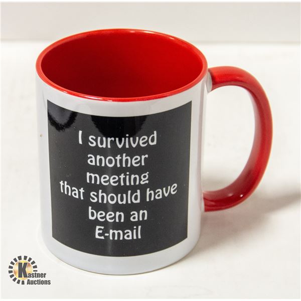 NEW "I SURVIVED ANOTHER MEETING THAT SHOULD HAVE