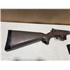 Image 3 : Henry US Survival Rifle