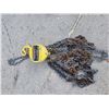Image 1 : Chain hoist half ton