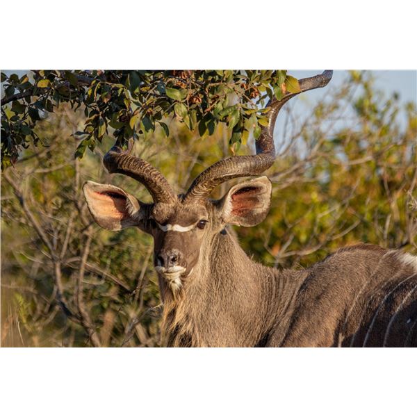 $2,500 CREDIT PER 2 HUNTERS