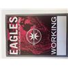 Image 1 : Eagles concert backstage pass