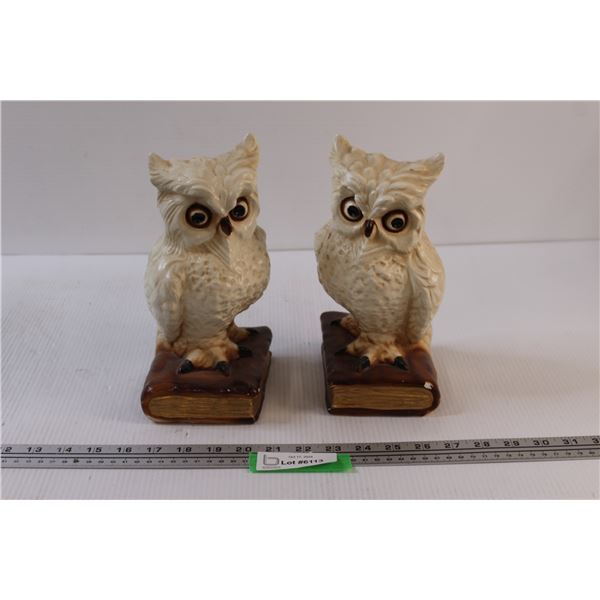 (2) Owl Decorations/Bookends - Chips