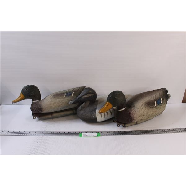 (3) Decoy Hunting Ducks: Mallard & Wood Ducks