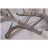 Image 2 : (4) Deer Shed Antlers