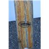 Image 5 : ***(2) Feather Brand Wooden Boat Oars - 76" Long