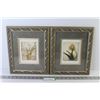 (2) Framed Prints (10" x 12")